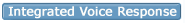 IVR Instant Voice Response