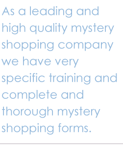 mystery shopping company provider