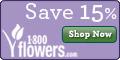 Send Holiday Smiles & Save up to 30% on our Exclusive Christmas Collection at 1800Flowers.com! No promotion code needed (Offer Ends Dec 24, 2011) - 120x60