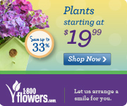 WOW HER THIS VALENTINE'S. Don't Settle for Less. Save up to 30% with 1800Flowers.com. No promotion codes needed! - 180x150