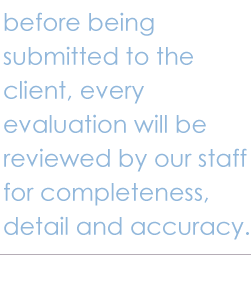 Mystery Shoppers guidelines